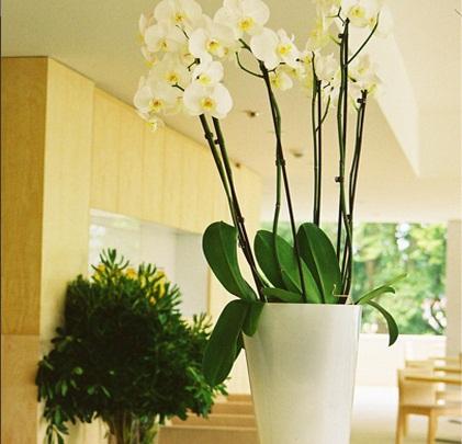 Inlima Hotel & Spa Ponte de Lima Εσωτερικό φωτογραφία